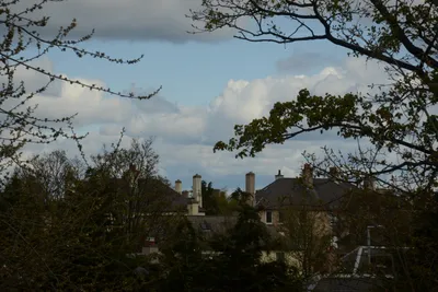 DSC_7274 (Large).JPG